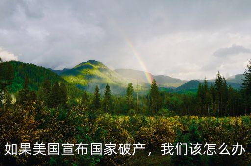 如果美國(guó)宣布國(guó)家破產(chǎn)，我們?cè)撛趺崔k