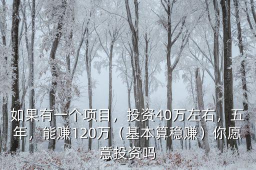 如果有一個(gè)項(xiàng)目，投資40萬(wàn)左右，五年，能賺120萬(wàn)（基本算穩(wěn)賺）你愿意投資嗎