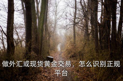 做外匯或現(xiàn)貨黃金交易，怎么識(shí)別正規(guī)平臺(tái)