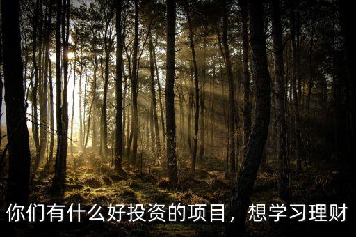 你們有什么好投資的項目，想學習理財
