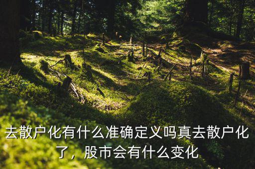 去散戶化有什么準(zhǔn)確定義嗎真去散戶化了，股市會有什么變化