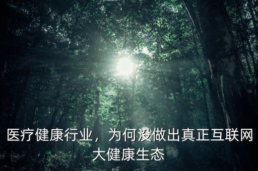醫(yī)療健康行業(yè)，為何沒(méi)做出真正互聯(lián)網(wǎng)大健康生態(tài)
