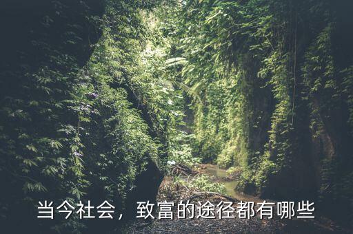 當(dāng)今社會(huì)，致富的途徑都有哪些