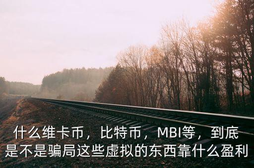 什么維卡幣，比特幣，MBI等，到底是不是騙局這些虛擬的東西靠什么盈利