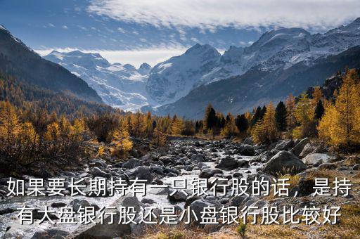 如果要長期持有一只銀行股的話，是持有大盤銀行股還是小盤銀行股比較好
