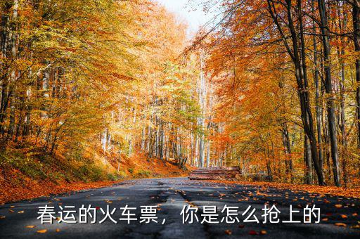 春運的火車票，你是怎么搶上的