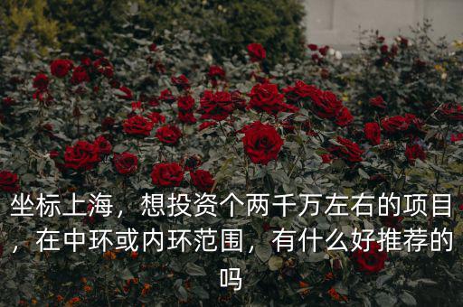 坐標(biāo)上海，想投資個(gè)兩千萬左右的項(xiàng)目，在中環(huán)或內(nèi)環(huán)范圍，有什么好推薦的嗎