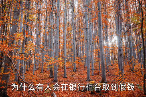 在銀行柜臺取到假錢怎么辦,如果在農業(yè)銀行柜臺取到假錢