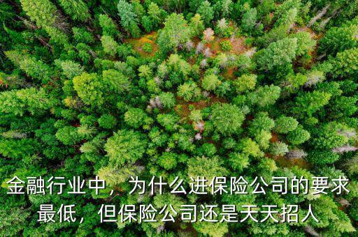 金融行業(yè)中，為什么進(jìn)保險(xiǎn)公司的要求最低，但保險(xiǎn)公司還是天天招人