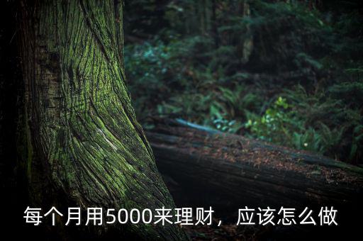 每個月用5000來理財，應(yīng)該怎么做