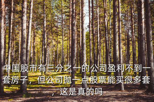 中國股市有三分之一的公司盈利不到一套房子，但公司拋一點股票能買很多套，這是真的嗎