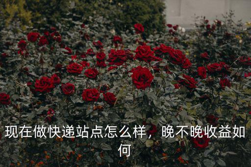 現(xiàn)在做快遞站點(diǎn)怎么樣，晚不晚收益如何