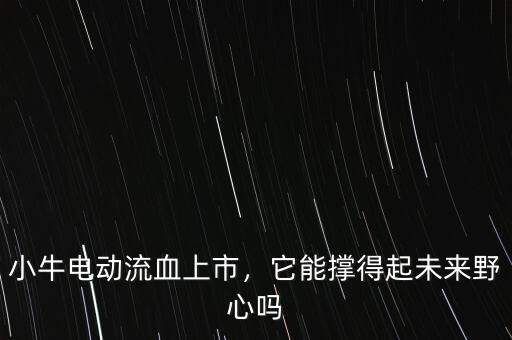 小牛電動流血上市，它能撐得起未來野心嗎