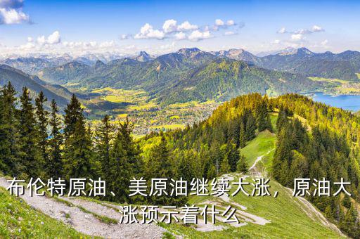 布倫特原油、美原油繼續(xù)大漲，原油大漲預(yù)示著什么