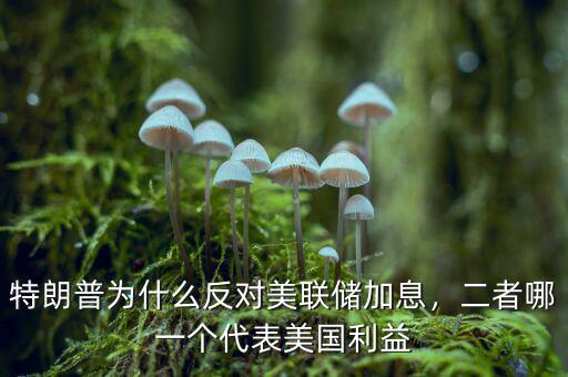 特朗普為什么反對美聯(lián)儲加息，二者哪一個代表美國利益
