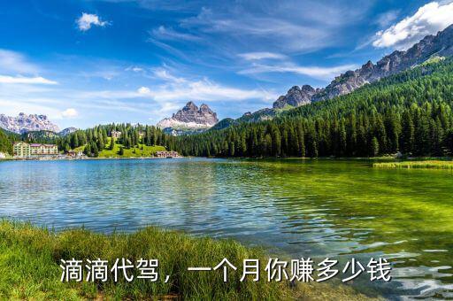 滴滴代駕，一個月你賺多少錢
