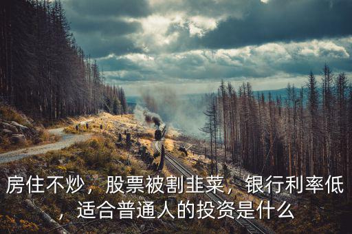 房住不炒，股票被割韭菜，銀行利率低，適合普通人的投資是什么