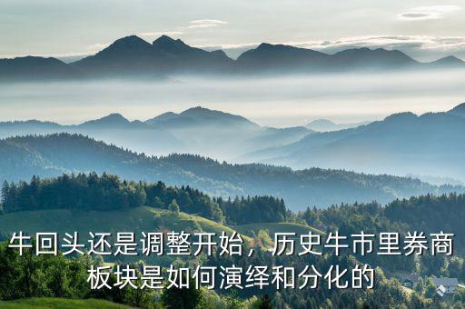 什么是?；仡^,?；仡^還是調(diào)整開始
