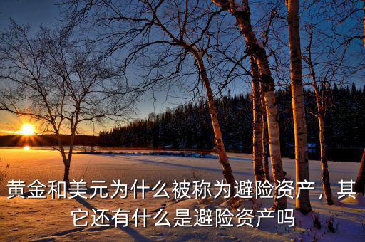 黃金和美元為什么被稱為避險資產(chǎn)，其它還有什么是避險資產(chǎn)嗎