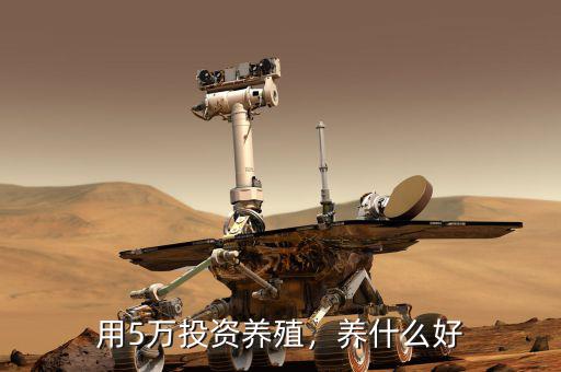用5萬投資養(yǎng)殖，養(yǎng)什么好