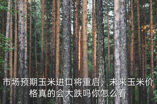 市場預(yù)期玉米進(jìn)口將重啟，未來玉米價格真的會大跌嗎你怎么看