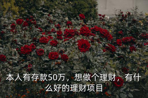 本人有存款50萬，想做個理財，有什么好的理財項目