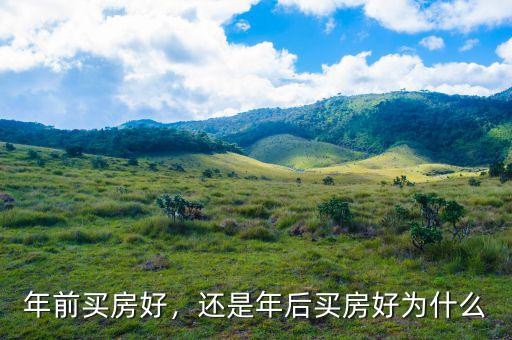 樓市崩盤(pán)前買(mǎi)房好還是怎么投資好,還是年后買(mǎi)房好。為什么