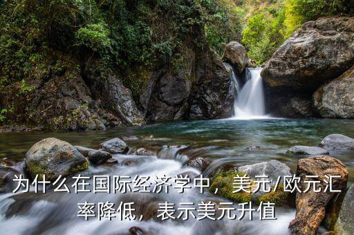 為什么在國(guó)際經(jīng)濟(jì)學(xué)中，美元/歐元匯率降低，表示美元升值