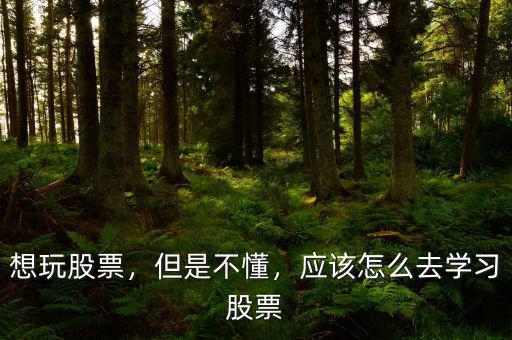 想玩股票，但是不懂，應該怎么去學習股票