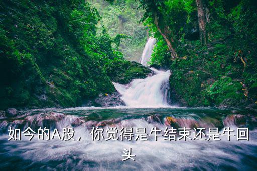 如今的A股，你覺得是牛結(jié)束還是?；仡^