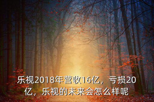 樂視2018年?duì)I收16億，虧損20億，樂視的未來(lái)會(huì)怎么樣呢