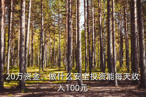 20萬資金，做什么安全投資能每天收入100元