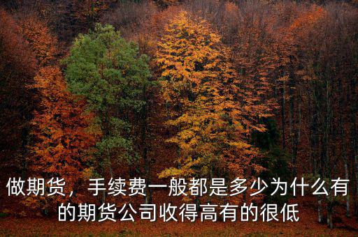 做期貨，手續(xù)費一般都是多少為什么有的期貨公司收得高有的很低