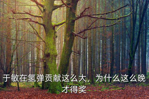 于敏在氫彈貢獻(xiàn)這么大，為什么這么晚才得獎