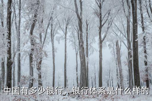 中國有多少銀行，銀行體系是什么樣的