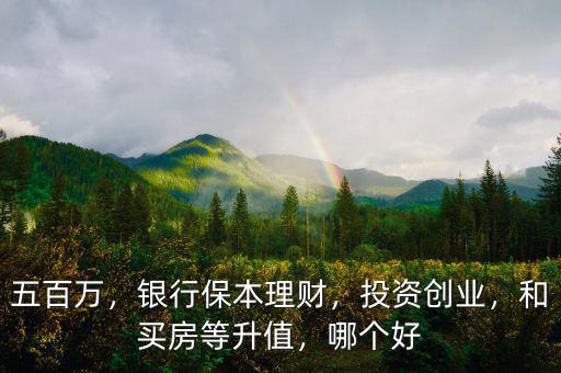 五百萬(wàn)，銀行保本理財(cái)，投資創(chuàng)業(yè)，和買房等升值，哪個(gè)好