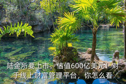 陸金所要上市，估值600億美元！對(duì)于線上財(cái)富管理平臺(tái)，你怎么看