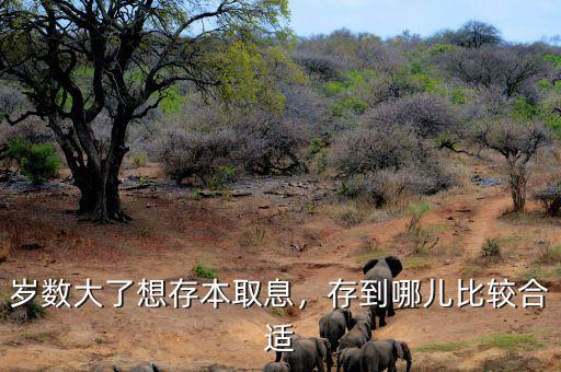 歲數大了想存本取息，存到哪兒比較合適