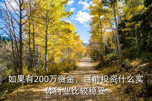 如果有200萬資金，目前投資什么實(shí)體行業(yè)比較穩(wěn)妥