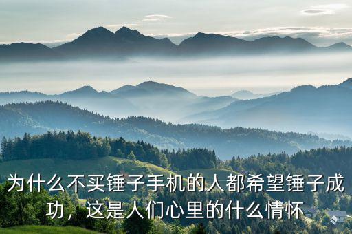 為什么不買錘子手機(jī)的人都希望錘子成功，這是人們心里的什么情懷