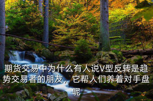 期貨交易中為什么有人說V型反轉(zhuǎn)是趨勢交易者的朋友，它幫人們養(yǎng)著對手盤呢