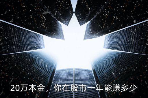 20萬本金，你在股市一年能賺多少