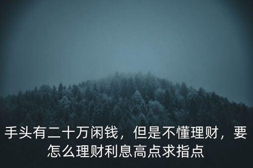 手頭有二十萬閑錢，但是不懂理財，要怎么理財利息高點求指點