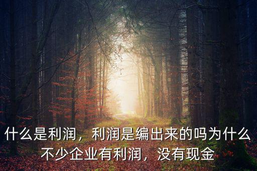 什么是利潤，利潤是編出來的嗎為什么不少企業(yè)有利潤，沒有現(xiàn)金