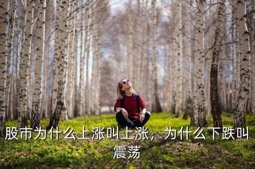 股市為什么上漲叫上漲，為什么下跌叫震蕩