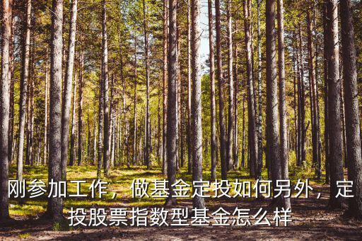 剛參加工作，做基金定投如何另外，定投股票指數(shù)型基金怎么樣