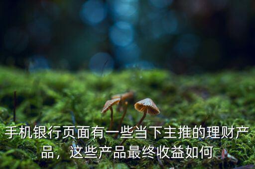 手機銀行頁面有一些當下主推的理財產品，這些產品最終收益如何