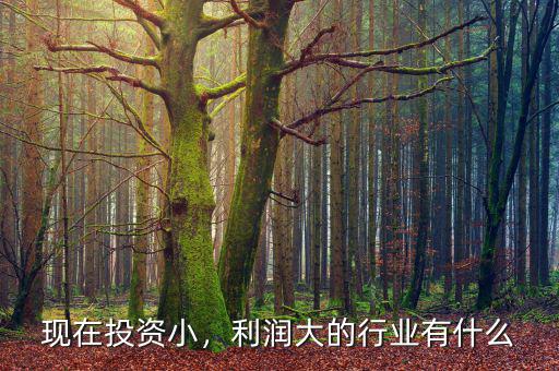 現(xiàn)在投資小，利潤大的行業(yè)有什么