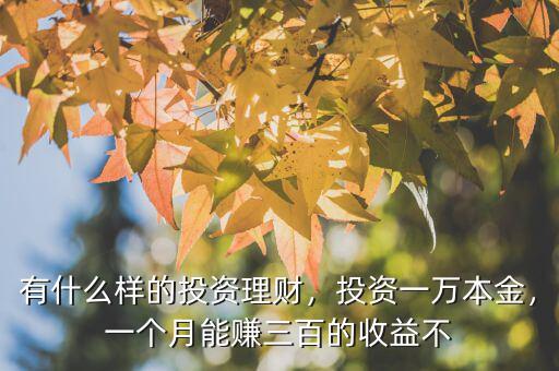 有什么樣的投資理財，投資一萬本金，一個月能賺三百的收益不