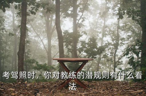 考駕照時，你對教練的潛規(guī)則有什么看法